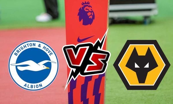 Brighton & Hove Albion vs Wolverhampton Wanderers Live